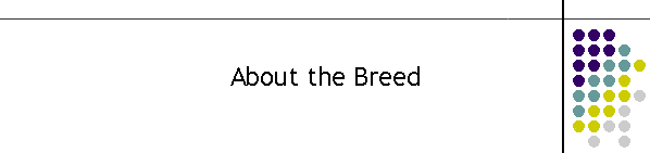 About the Breed
